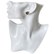 Load image into Gallery viewer, Gradient Yellow Geniune Amber Stud Earrings